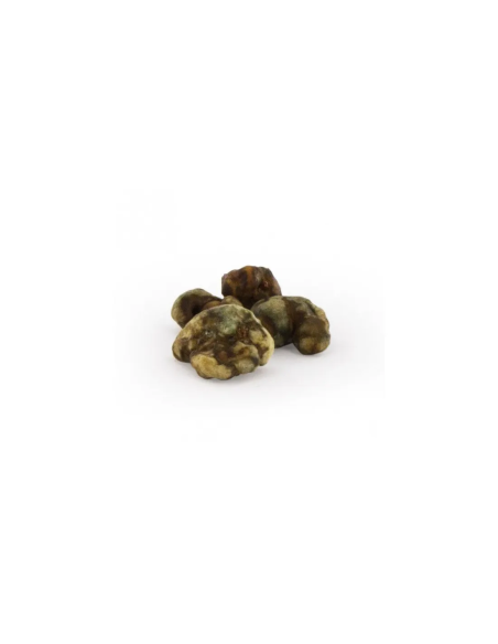 Mycotrop Mystery Magic Truffle Gift