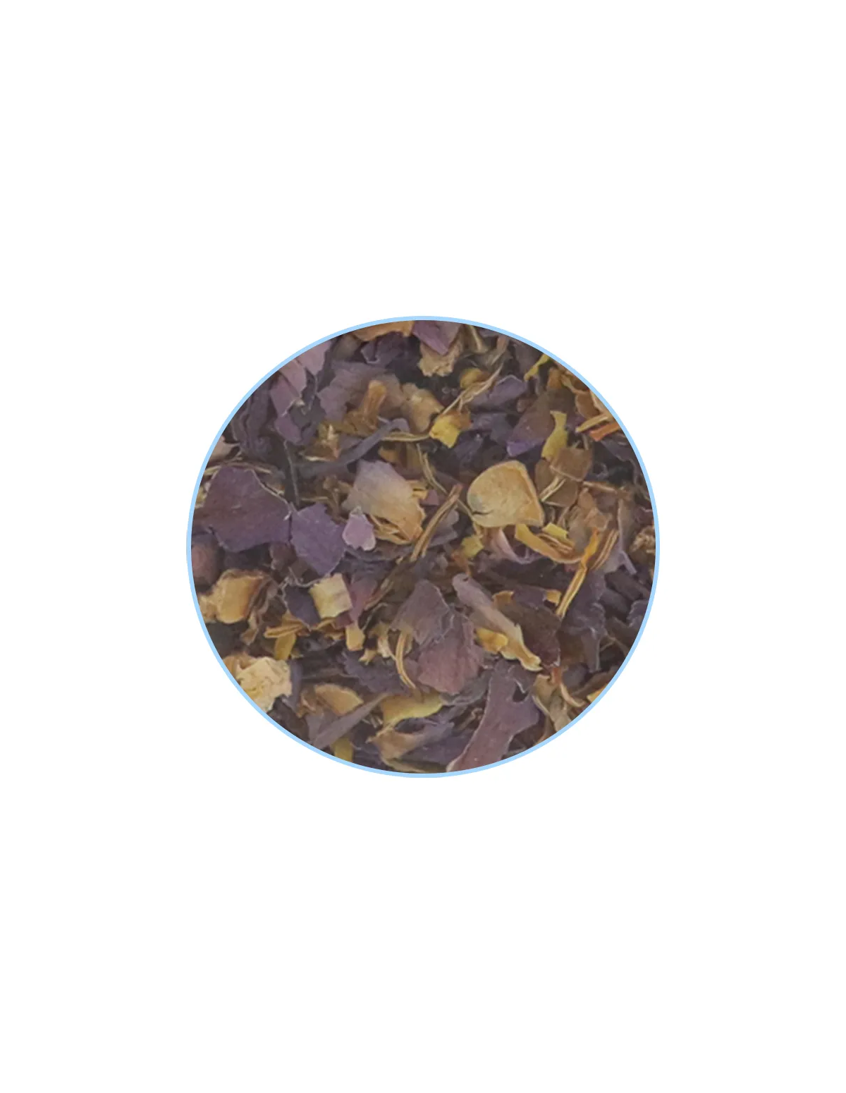 Blue Lotus Flower