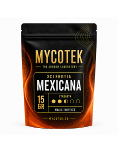 Magic Truffles - Psilocybe MEXICANA - Mycotek 2
