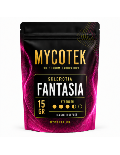 Magic Truffles - Psilocybe FANTASIA - Mycotek 2