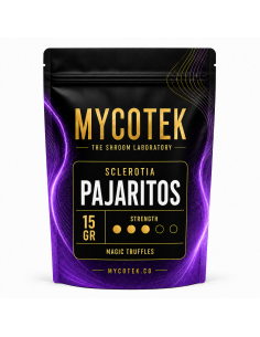 Magic Truffles - Psilocybe PAJARITOS - Mycotek 2