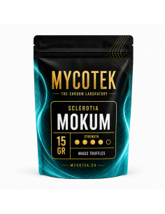 Magic Truffles - Psilocybe MOKUM - Mycotek 2