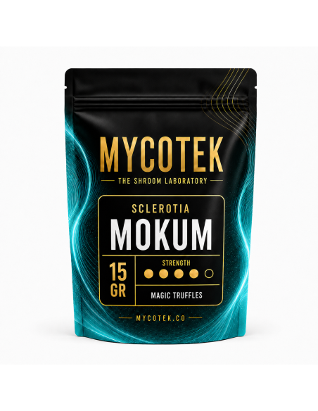 Magic Truffles - Psilocybe MOKUM - Mycotek