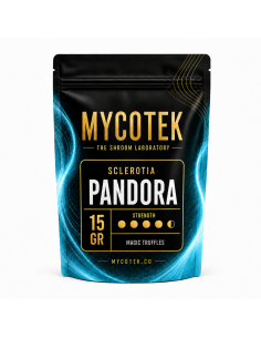 Magic Truffles - Psilocybe PANDORA - Mycotek 2