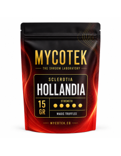 Magic Truffles - Psilocybe HOLLANDIA - Mycotek 2