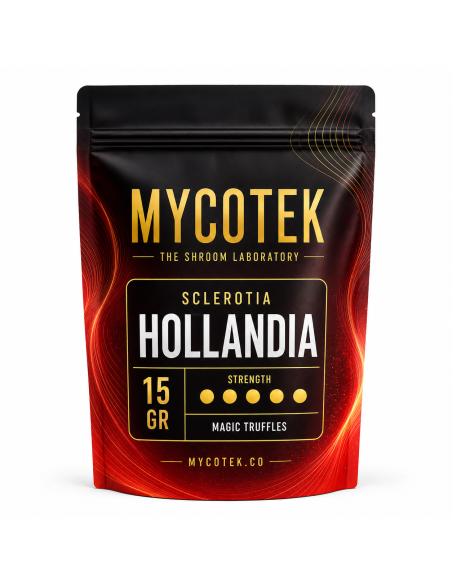 Magic Truffles - Psilocybe HOLLANDIA - Mycotek