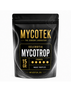 Magic Truffles - Psilocybe MYCOTROP - Mycotek 2