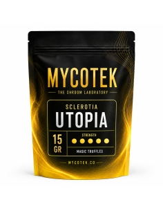 Magic Truffles - Psilocybe UTOPIA - Mycotek 2