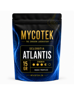 Magic Truffles - Psilocybe ATLANTIS - Mycotek 2