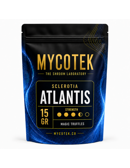 Magic Truffles - Psilocybe ATLANTIS - Mycotek