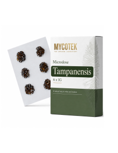 Microdose Mycotek  Tampanensis- 6 x 1G