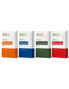 Microdose Mycotek Atlantis - 6 x 1g 2