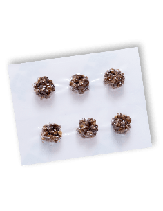 Microdose Mycotek Mexicana - 6 x 1g 2