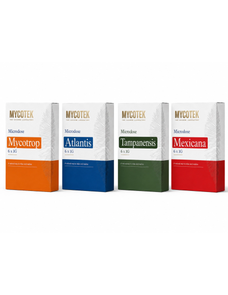 Microdose Mycotek  Tampanensis- 6 x 1G