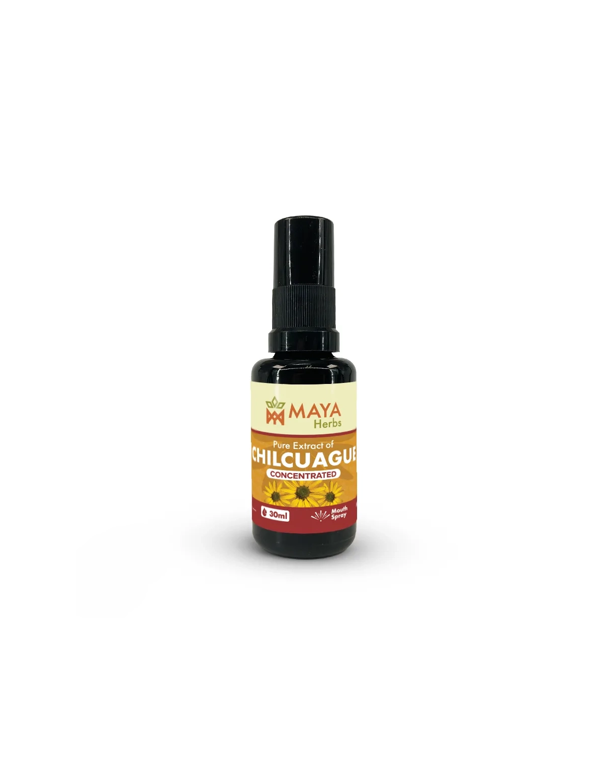 Chilcuague-Extrakt (Heliopsis longipes) – Konzentrat – Mundspray aus Mexiko, 30ml