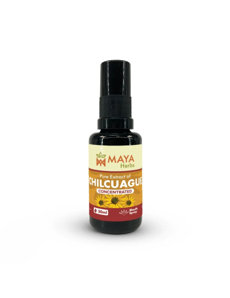 Chilcuague Extract (Heliopsis longipes) – Concentrate – Mouth Spray from Mexico, 30ml