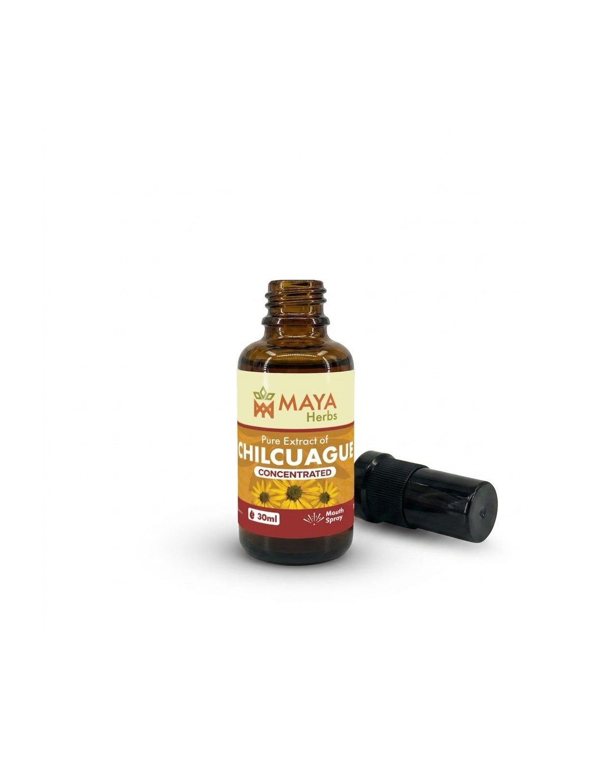 Chilcuague Extract (Heliopsis longipes) – Concentrate – Mouth Spray from Mexico, 30ml