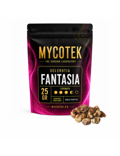 Magic Truffles - Psilocybe FANTASIA - Mycotek