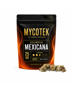Magic Truffles - Psilocybe HOLLANDIA - Mycotek