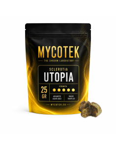 Magic Truffles - Psilocybe UTOPIA - Mycotek
