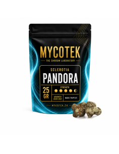 Magic Truffles - Psilocybe PANDORA - Mycotek