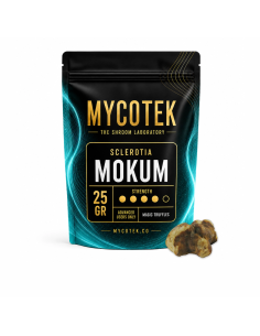 Magic Truffles - Psilocybe MOKUM - Mycotek