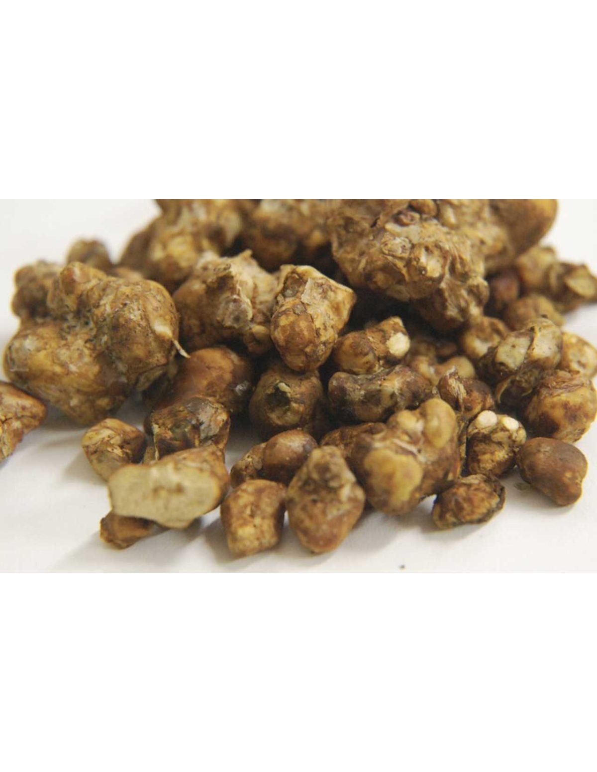FREE GIFT : Truffles 25G