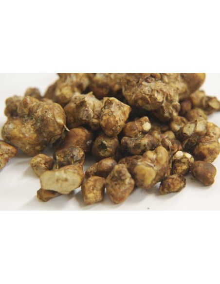 FREE GIFT : Truffles 25G