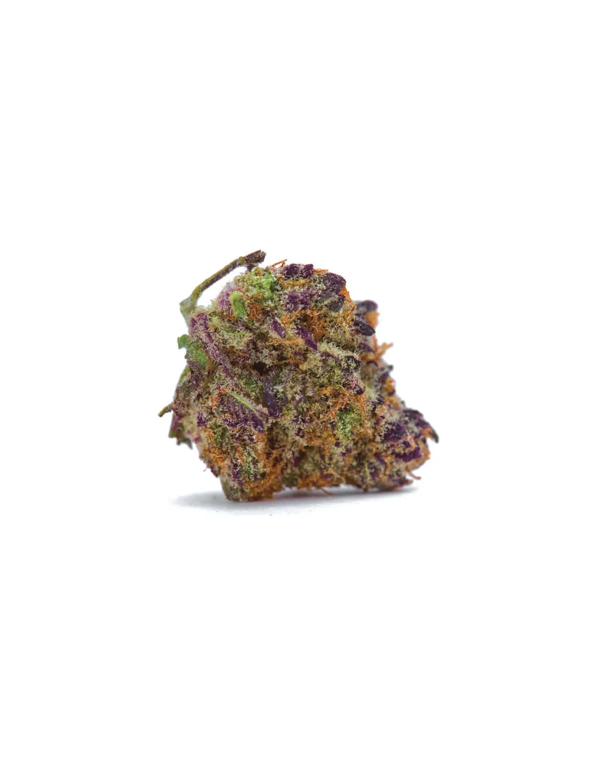 Just Seeds - Purple Kush [AUTO]