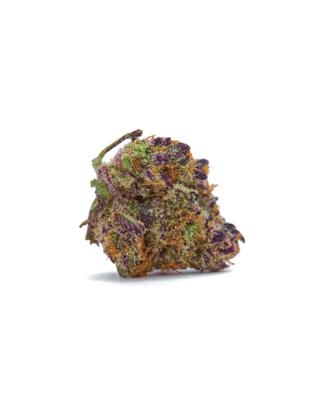 Just Seeds - Purple Kush [AUTO]