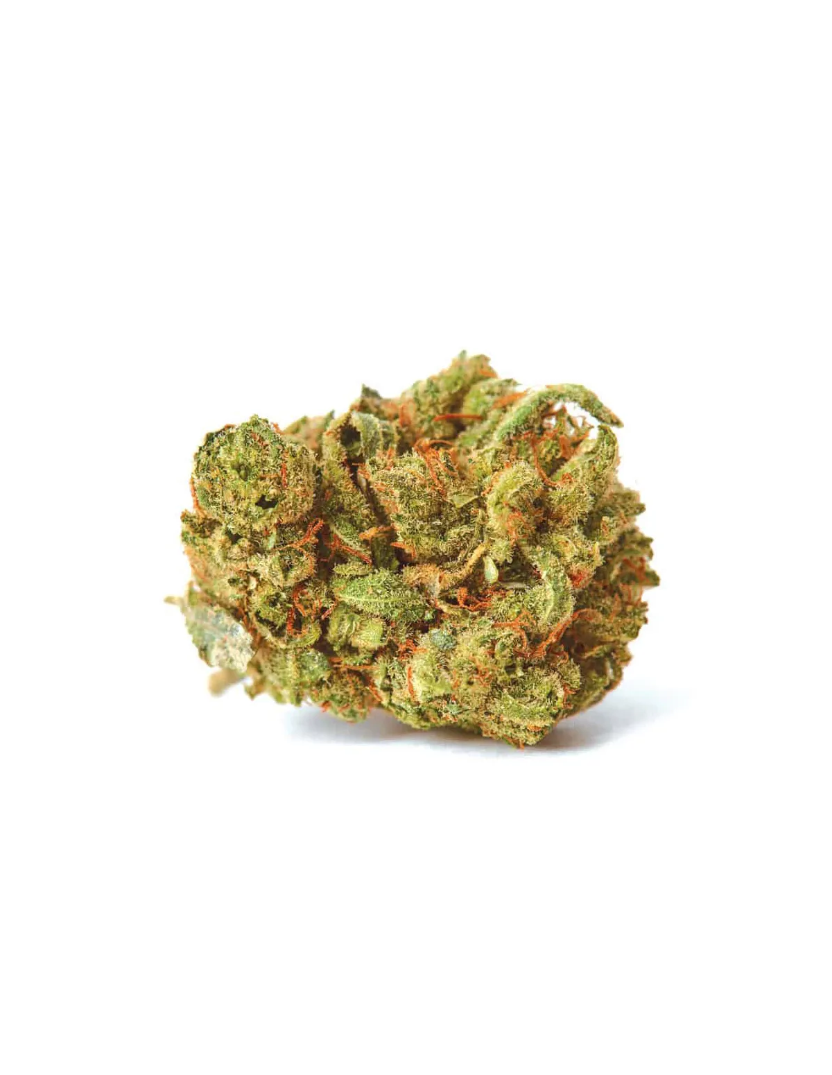 Just Seeds - Amnesia Lemon [AUTO]