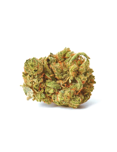 Just Seeds - Amnesia Lemon [AUTO]