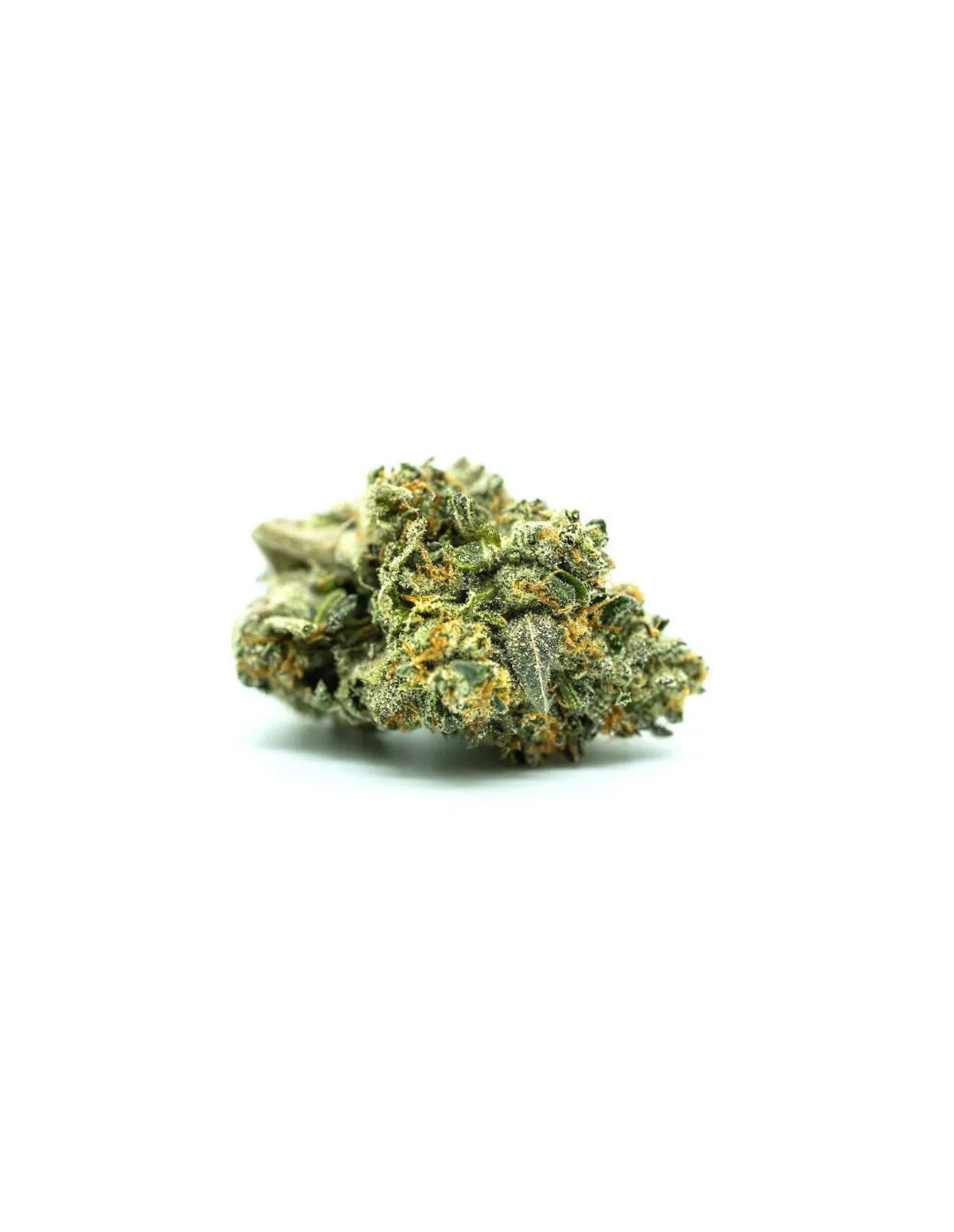 Just Seeds - Watermelon Zkittlez [AUTO]