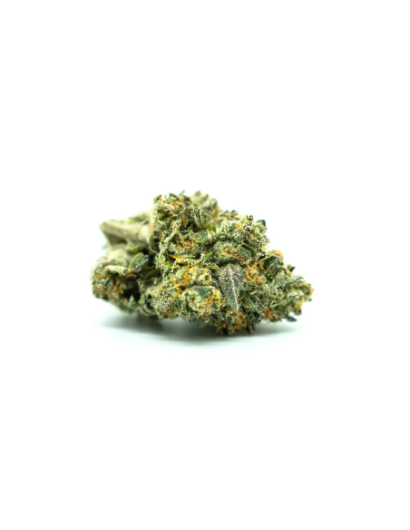 Just Seeds - Watermelon Zkittlez [AUTO]