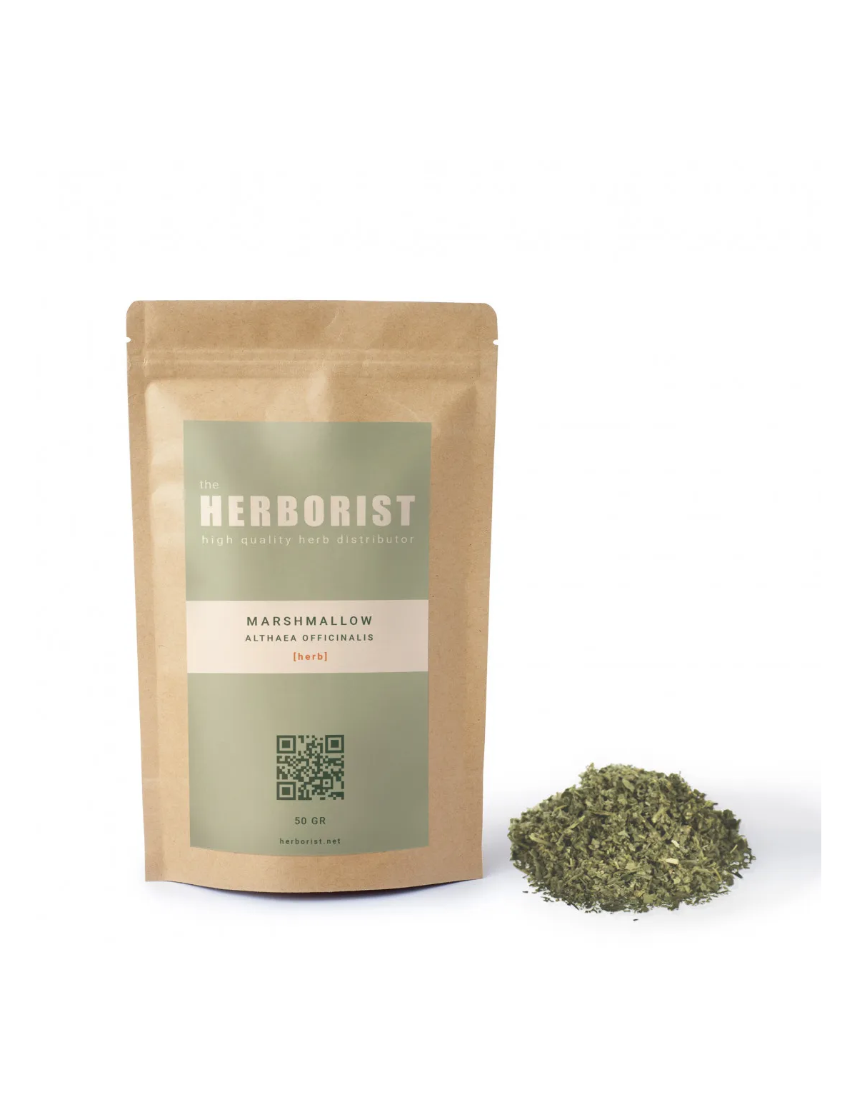 Marshmallow - Althaea officinalis