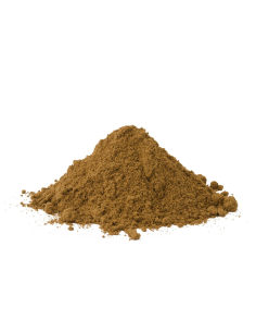 Magic Truffles - Psilocybe MEXICANA - Mycotek 2