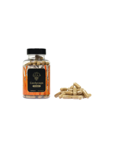Powder extracts 2
