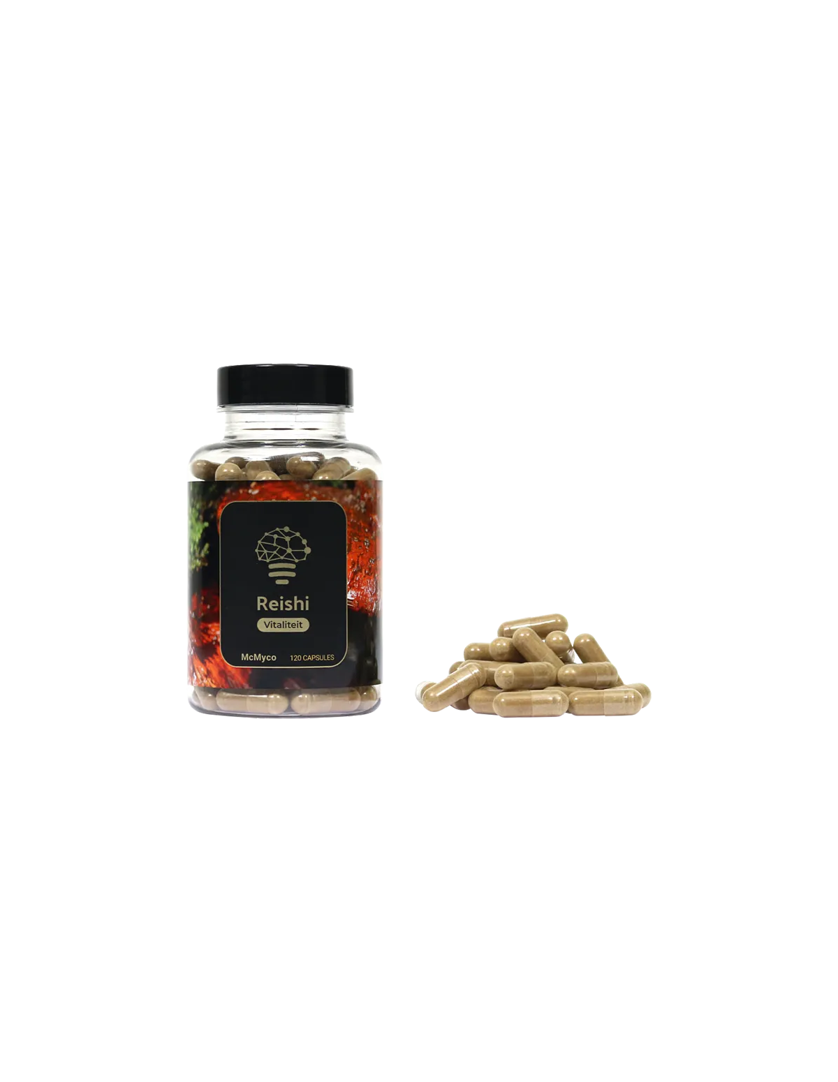 McMyco Reishi