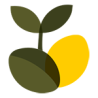 Cannabis Seeds