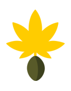 Autoflowering
