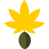 Autoflowering